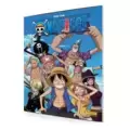 One Piece - Sticker album + cards - Panini 2021