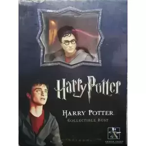 Harry Potter - Mini Busts