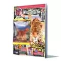 Le lion Roi de la savane 10