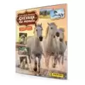 Les plus beaux Chevaux du monde -2023