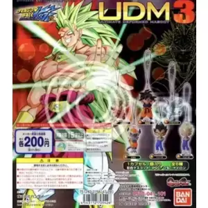 UDM 3