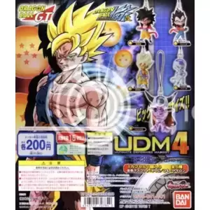 UDM 4