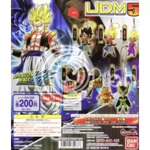 UDM 5