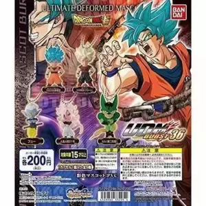 UDM Burst 36