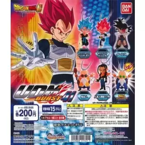 UDM Burst 41