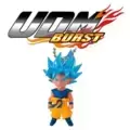 UDM Burst