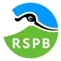 RSPB Pins