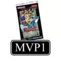 Gardien Dimensionnel MVP1-FRG24