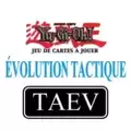 Sauterelle Faucheuse TAEV-FR022