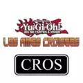 Dragon Synchro de l'Aile Claire CROS-FR046