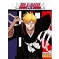 Bleach - Trading Cards Panini 2009