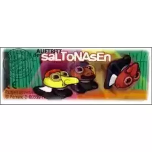 Auftritt der Saltonasen