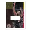 Vin Baker 084