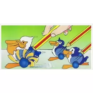 Pélican et Pingouins