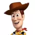 Woody - DVD & BluRay
