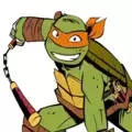 Michelangelo - Teenage Mutant Ninja Turtles (TMNT)