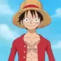 Monkey D. Luffy - Collector action figures
