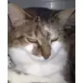 martine leeloo